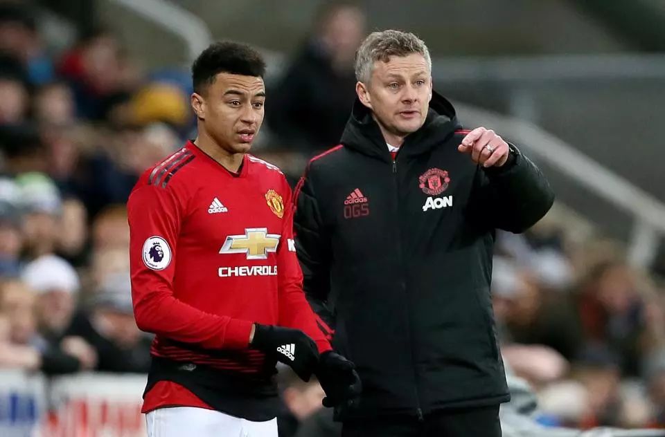 的小标题布 的小标题布